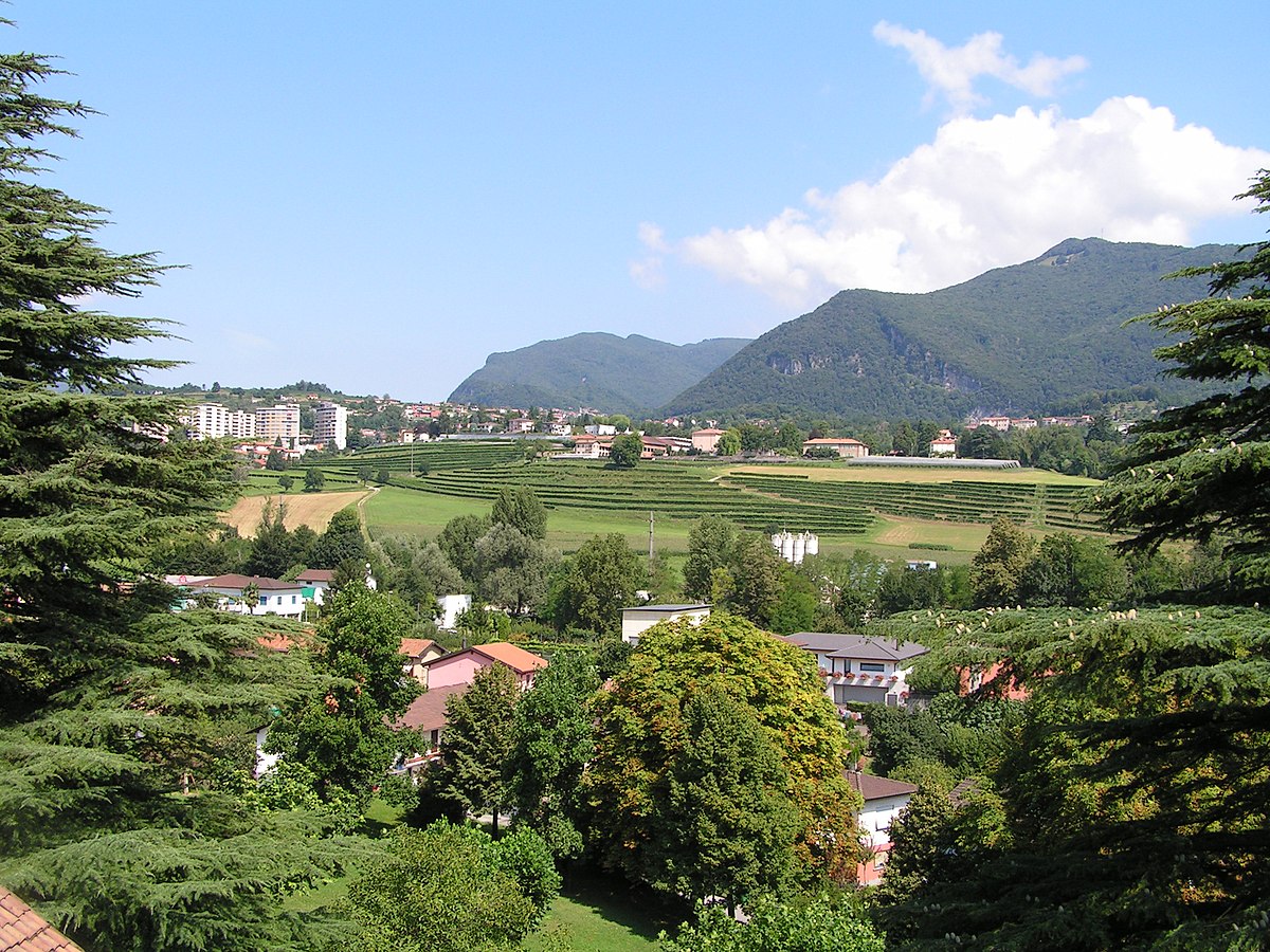 noleggio veicoli coldrerio